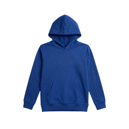 Boys Regular Hoodie